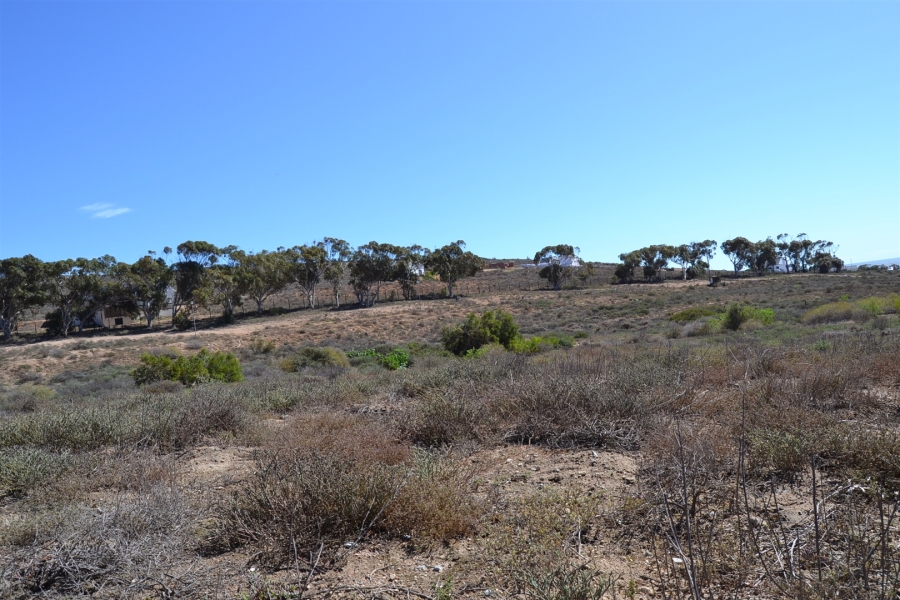 0 Bedroom Property for Sale in Steenbergs Cove Western Cape